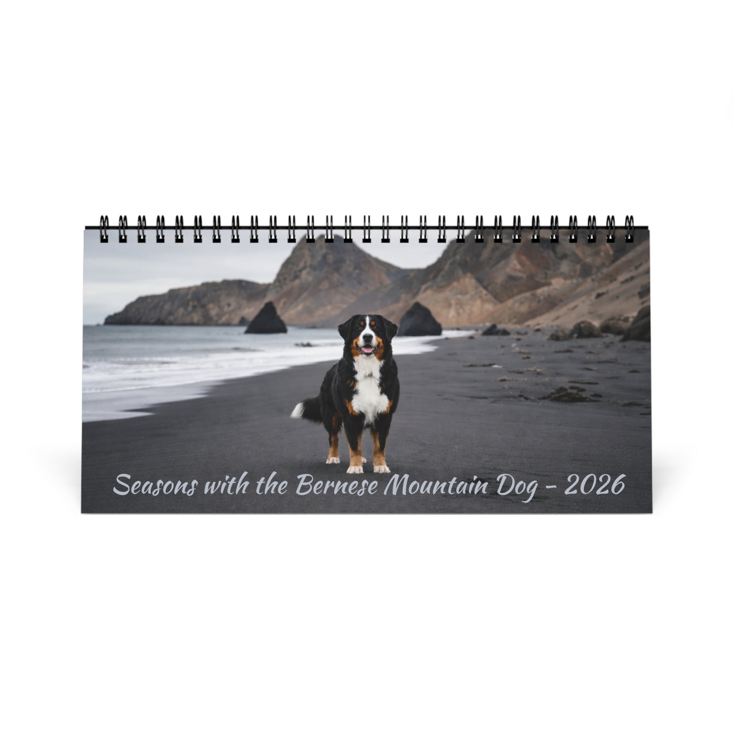 Bernese Mountain Dog 2026 Desk Calendar | Cozy 10x5 Standing Dog Calendar