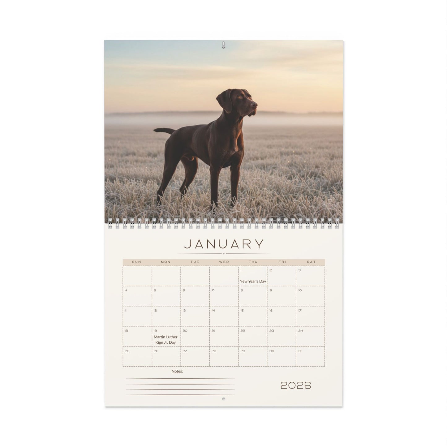 German Shorthaired Pointer 2026 Wall Calendar