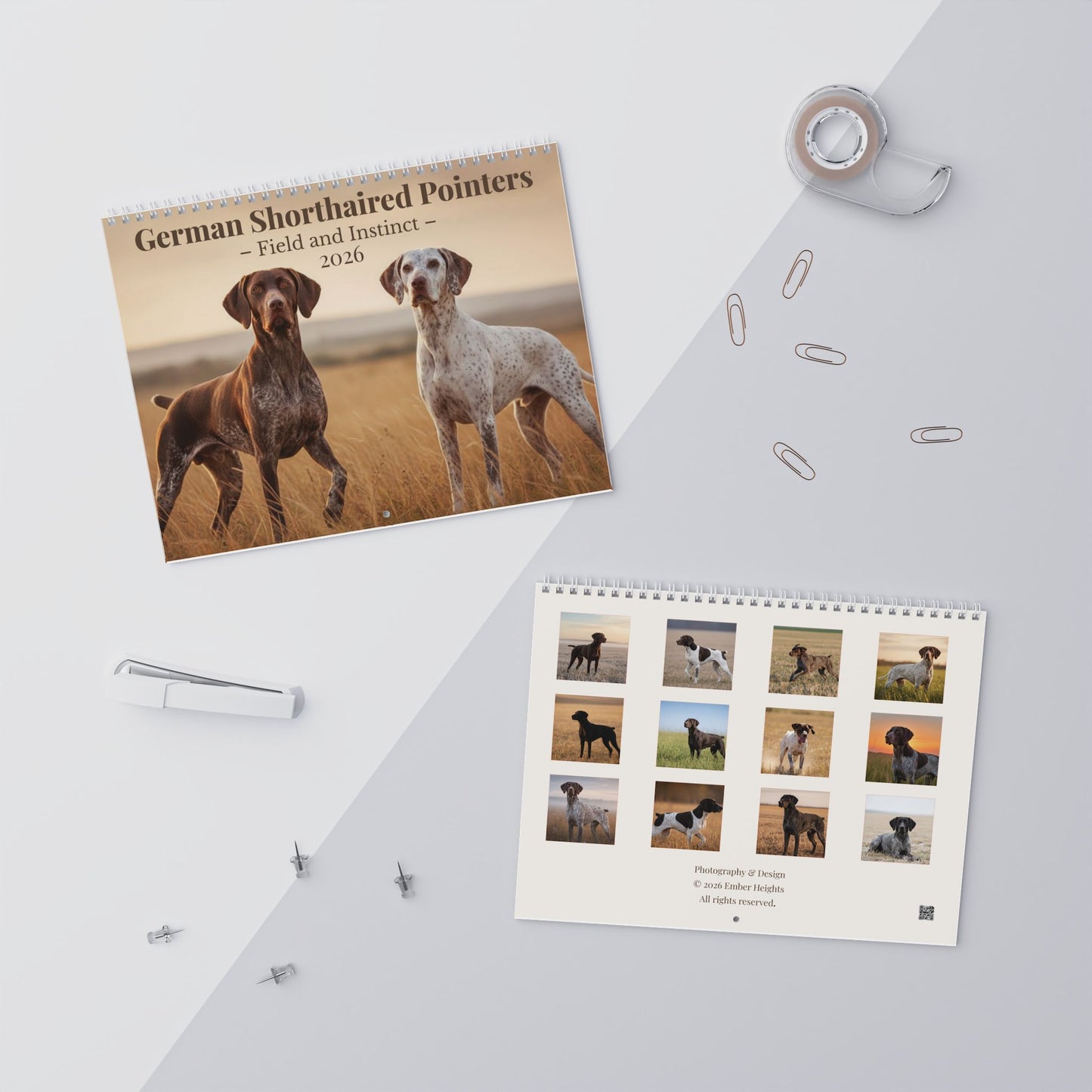 German Shorthaired Pointer 2026 Wall Calendar