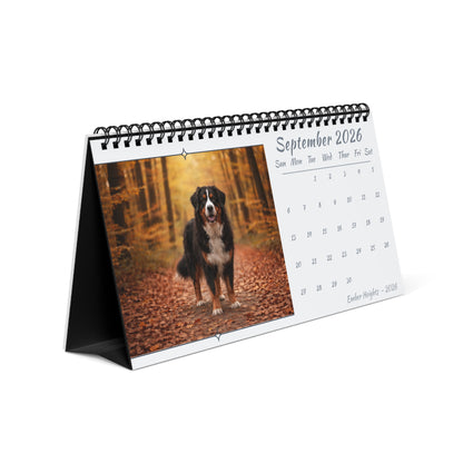 Bernese Mountain Dog 2026 Desk Calendar | Cozy 10x5 Standing Dog Calendar
