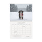 Bernedoodle Wall Calendar – Cozy Dog Photography for Home & Office