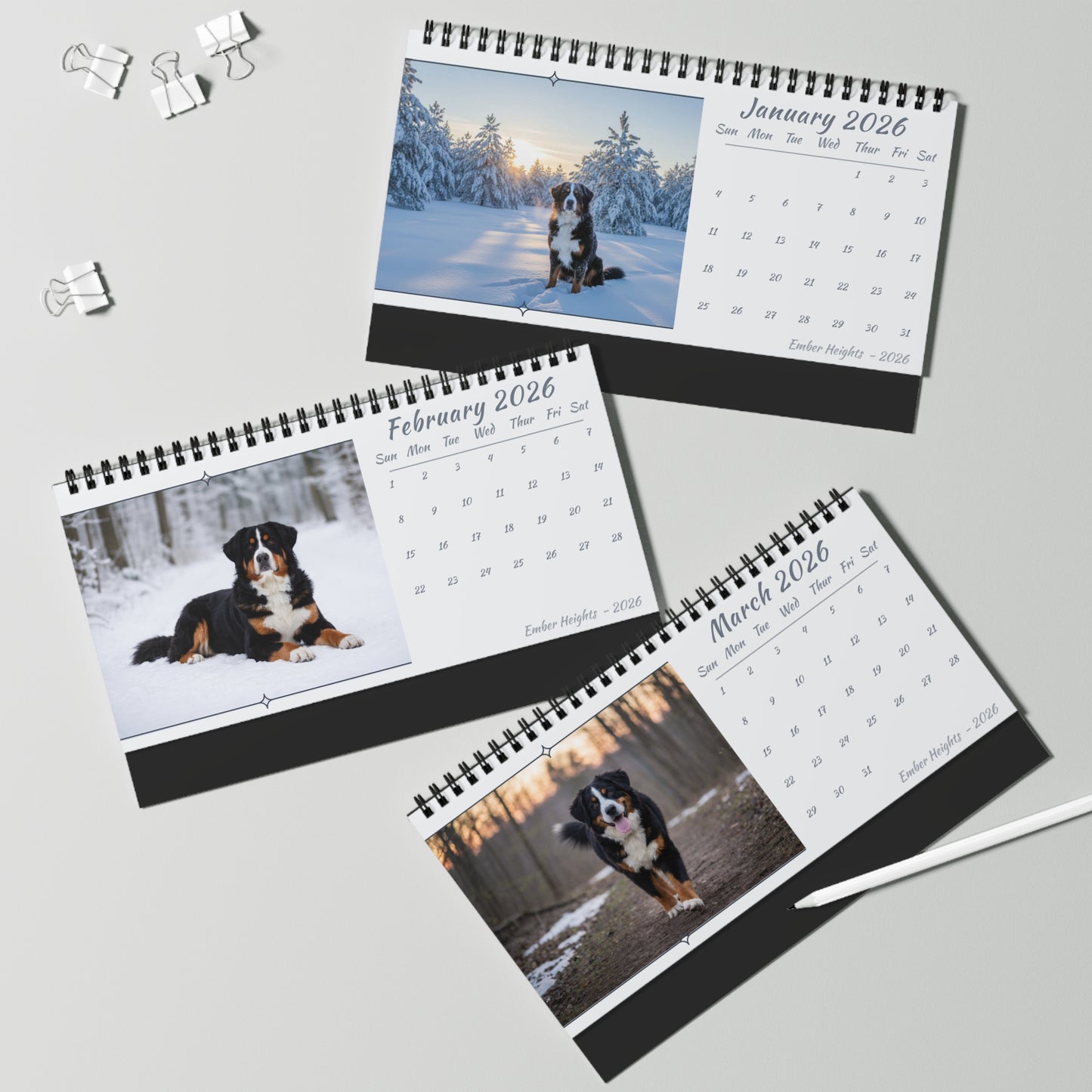 Bernese Mountain Dog 2026 Desk Calendar | Cozy 10x5 Standing Dog Calendar