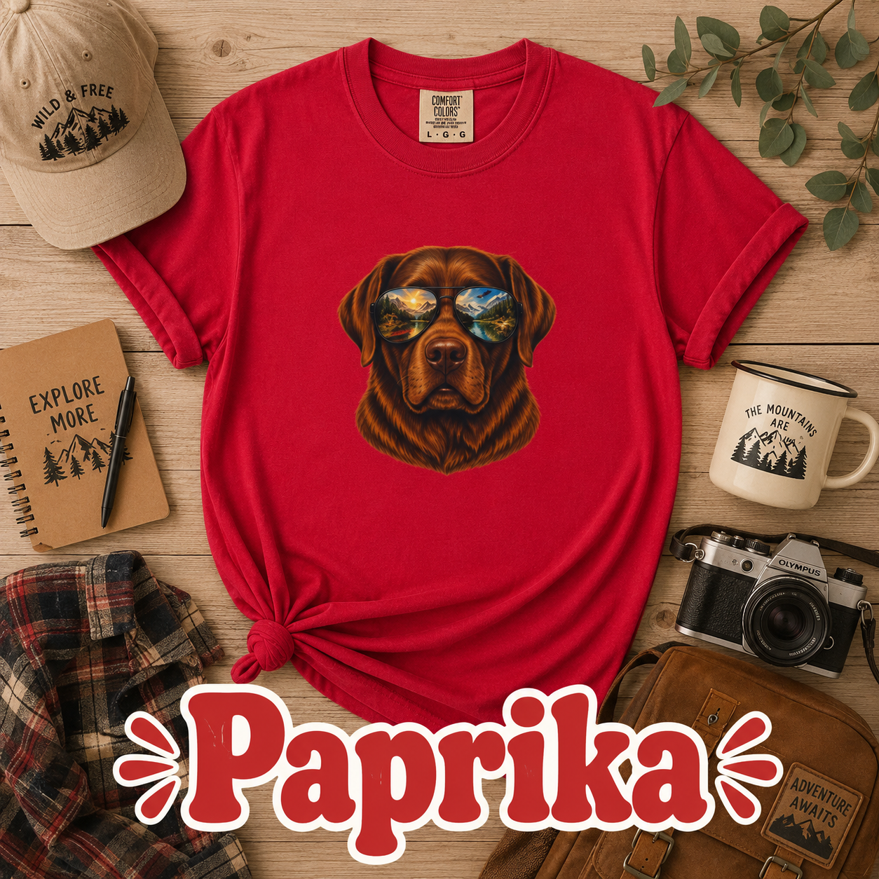 Chocolate Labrador Retriever Shirt, Dog with Sunglasses Tee, Lab Lover Gift, Adventure Dog Shirt, Hiking Tee, Comfort Colors