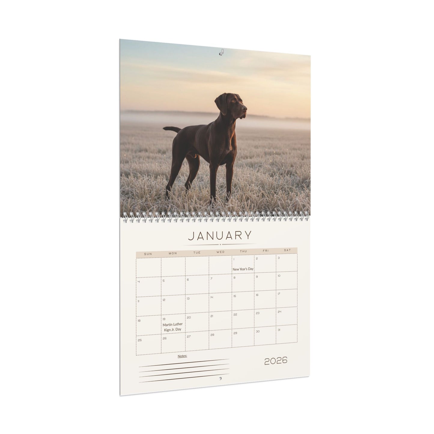 German Shorthaired Pointer 2026 Wall Calendar