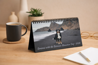 Bernese Mountain Dog 2026 Desk Calendar | Cozy 10x5 Standing Dog Calendar